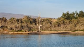 2023-11-GranCan-Maspalomas_Oasis-23.jpg